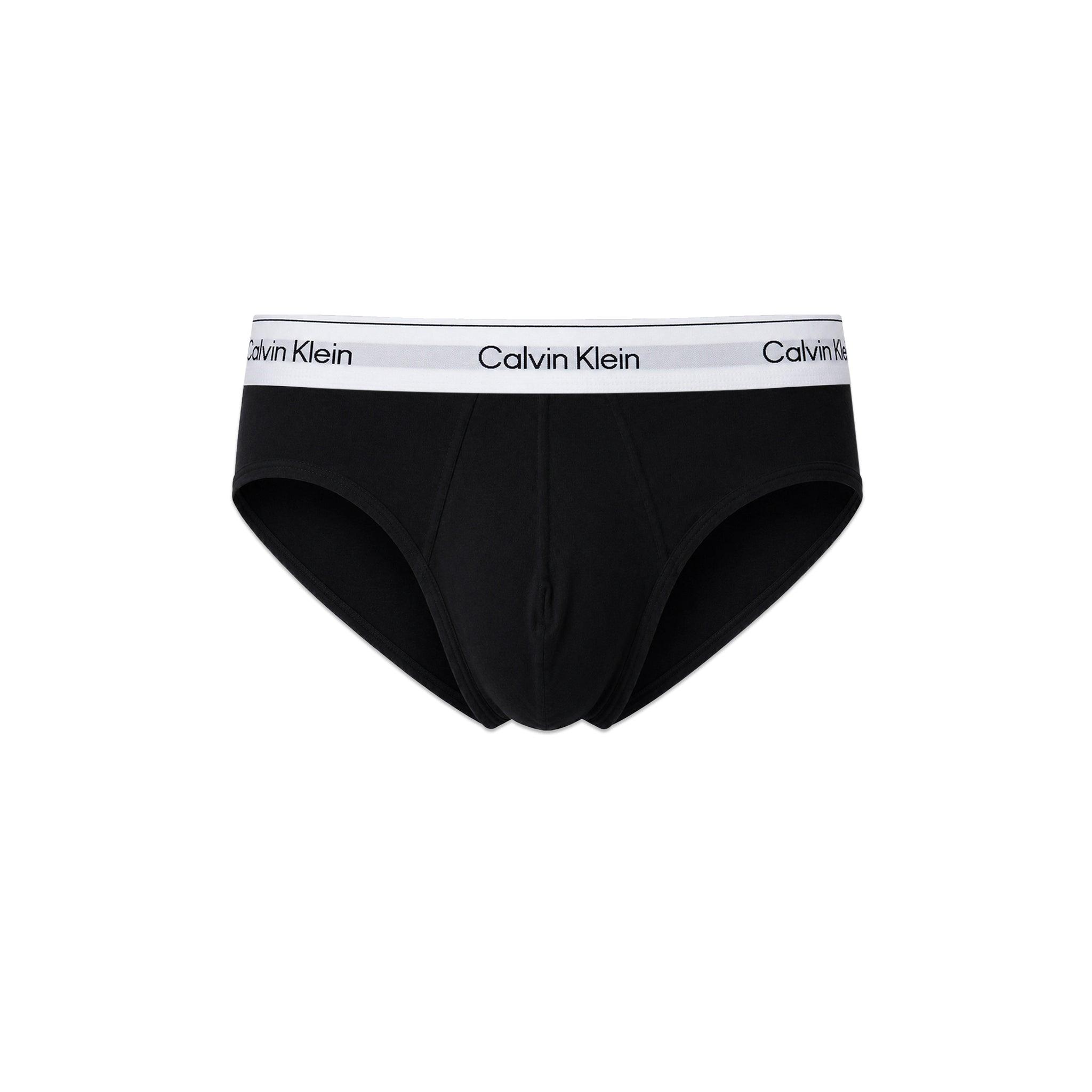 Icon Cotton Stretch Hip Brief 3PK