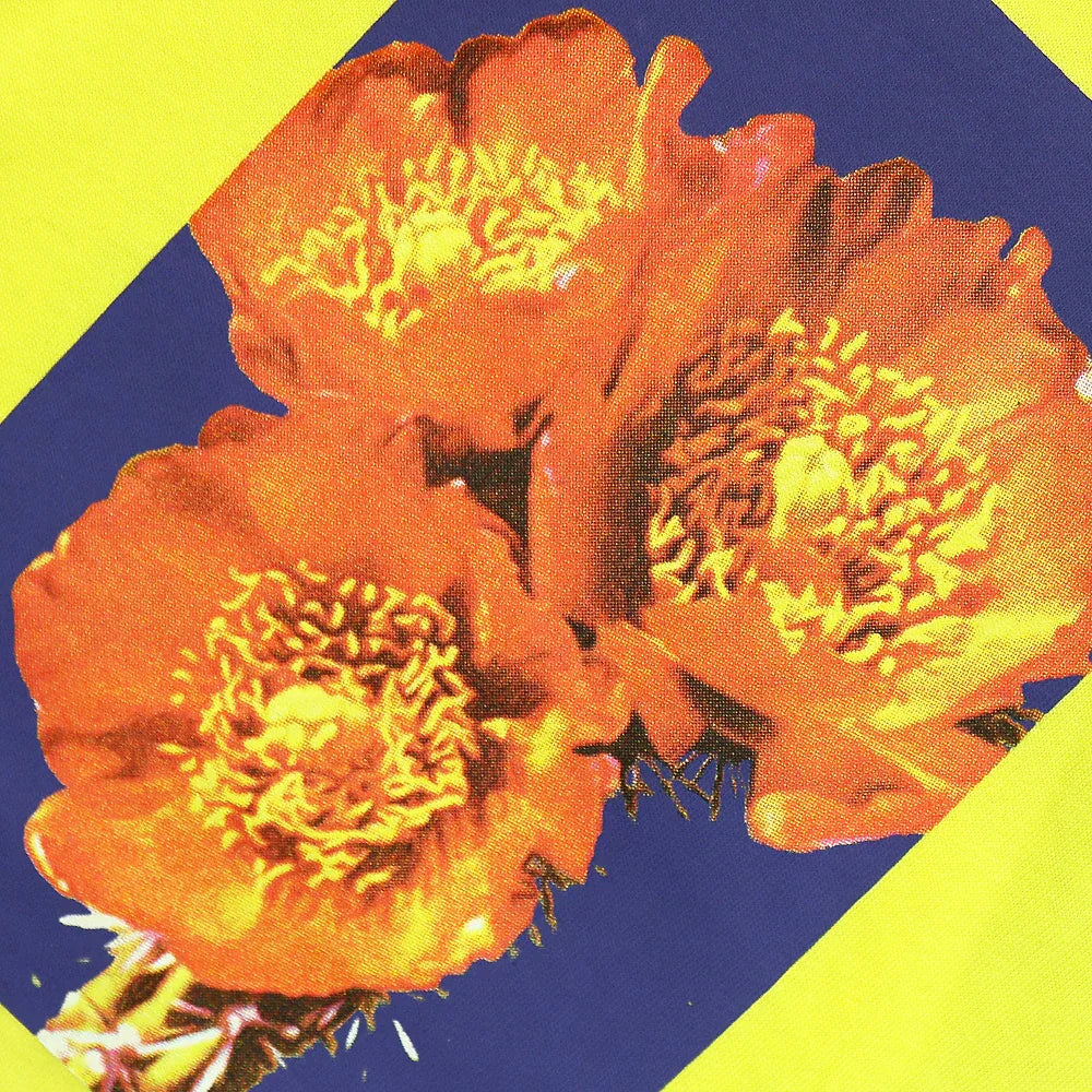 As A Dream T-Shirt - WASTED PARIS - VENTURER