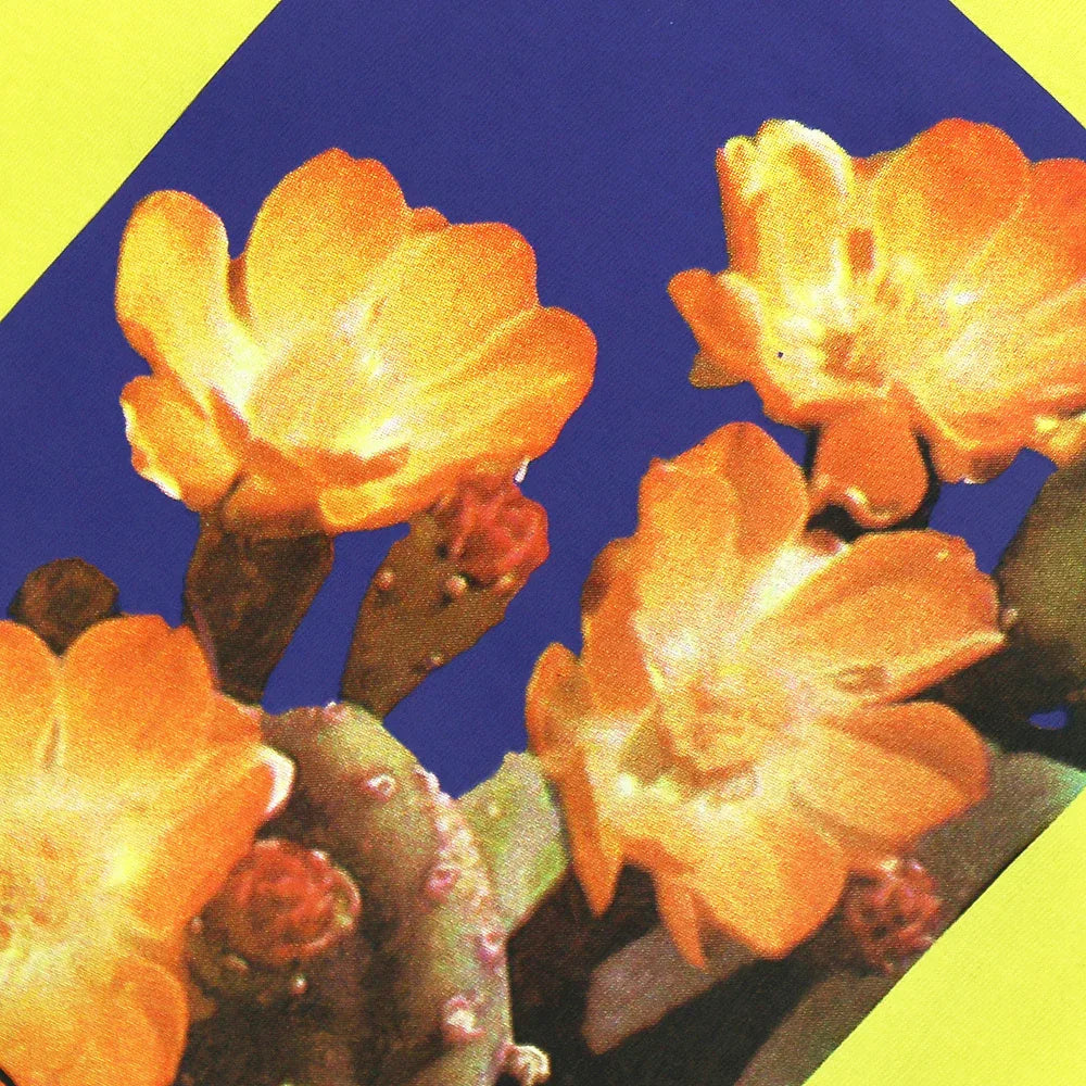 As A Dream T-Shirt - WASTED PARIS - VENTURER