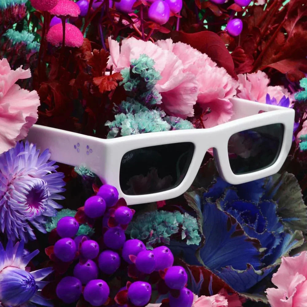 Polaris Sunglasses - AKILA LA - VENTURER