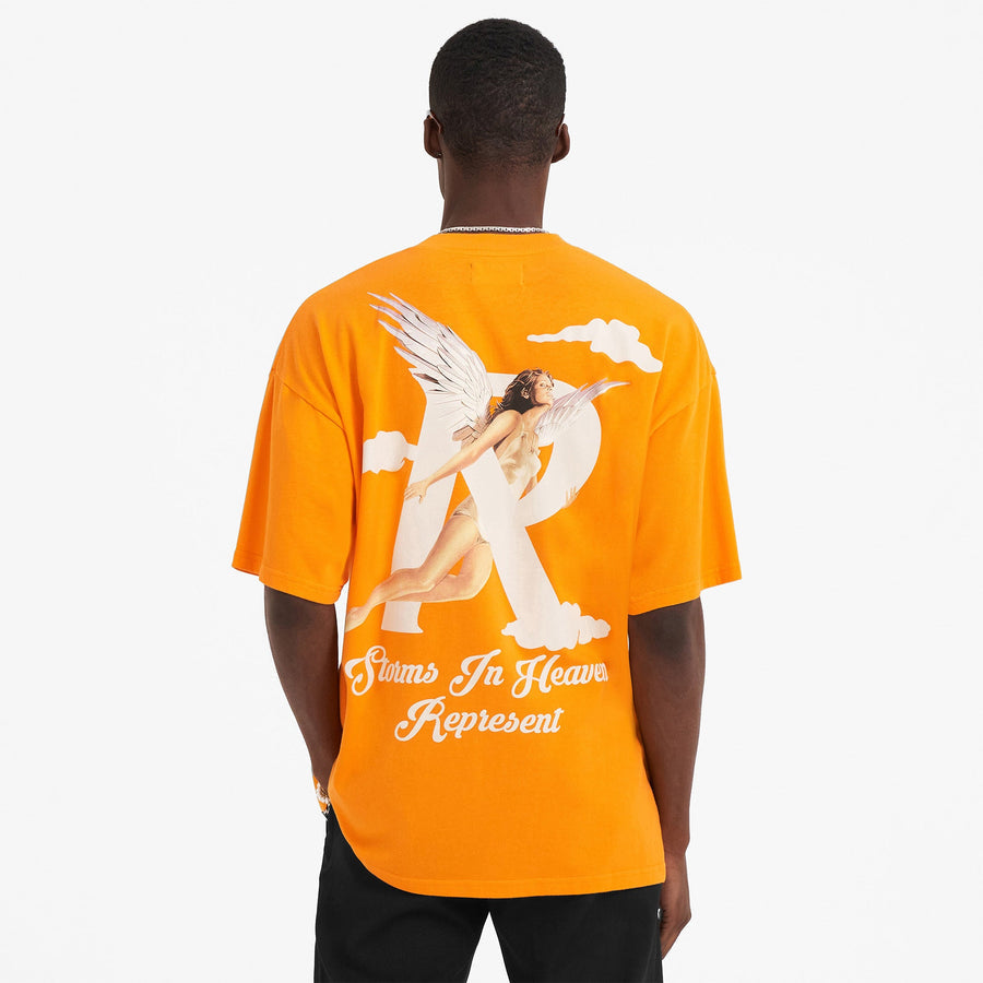 Storms In Heaven T-Shirt