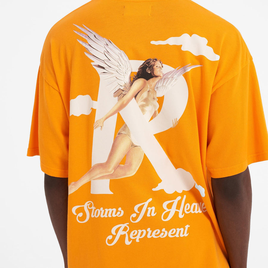 Storms In Heaven T-Shirt