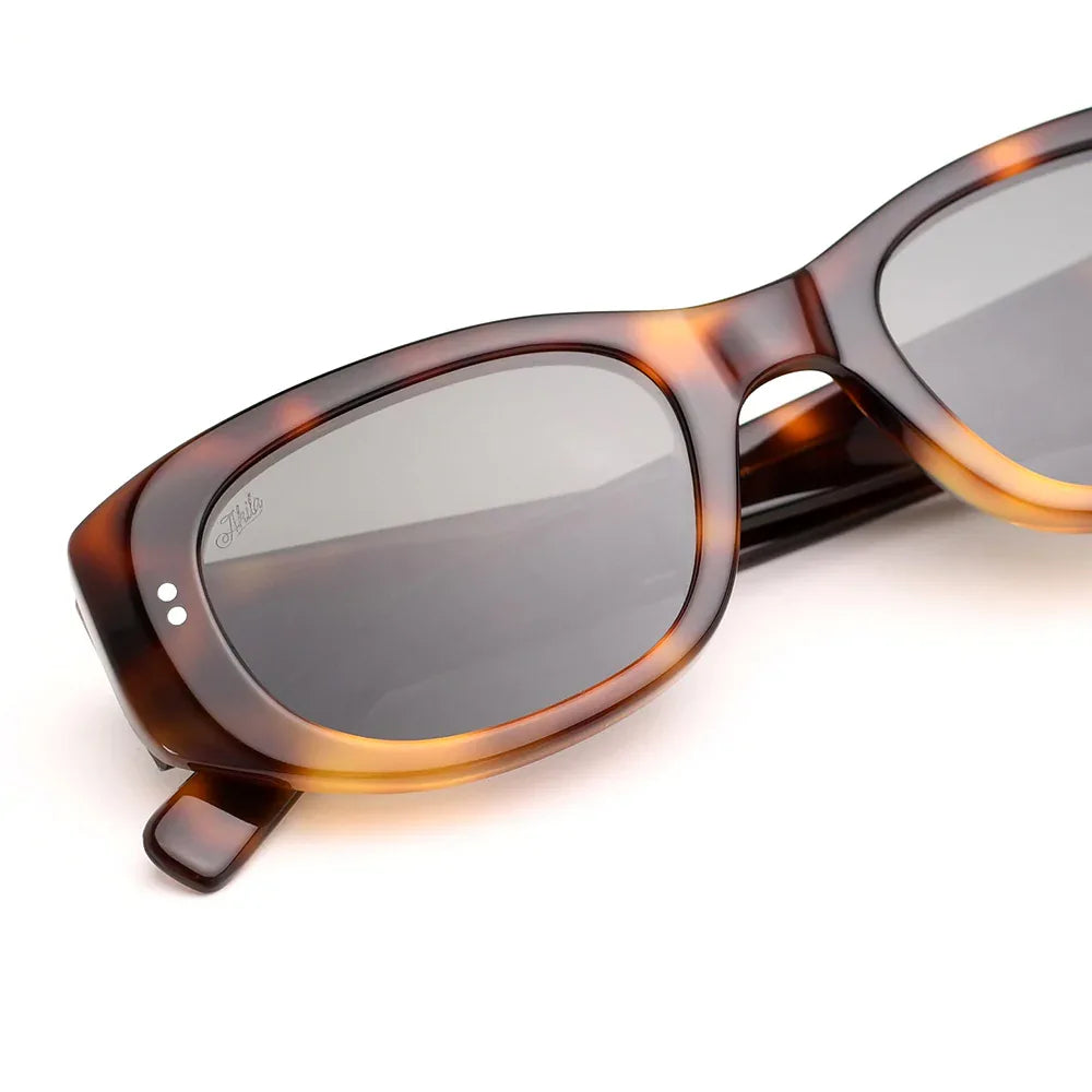 Silvia Sunglasses - AKILA LA - VENTURER