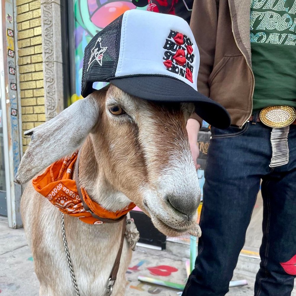 PBSB Signature Trucker Hat