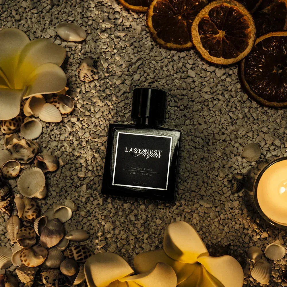 Sun Goes Down - LAST NEST - VENTURER