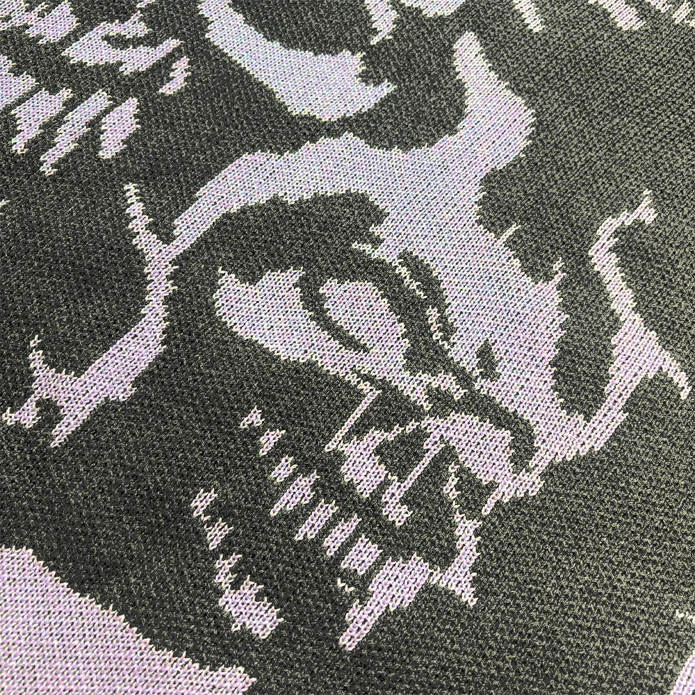 Skull Sweater - WASTED PARIS - VENTURER