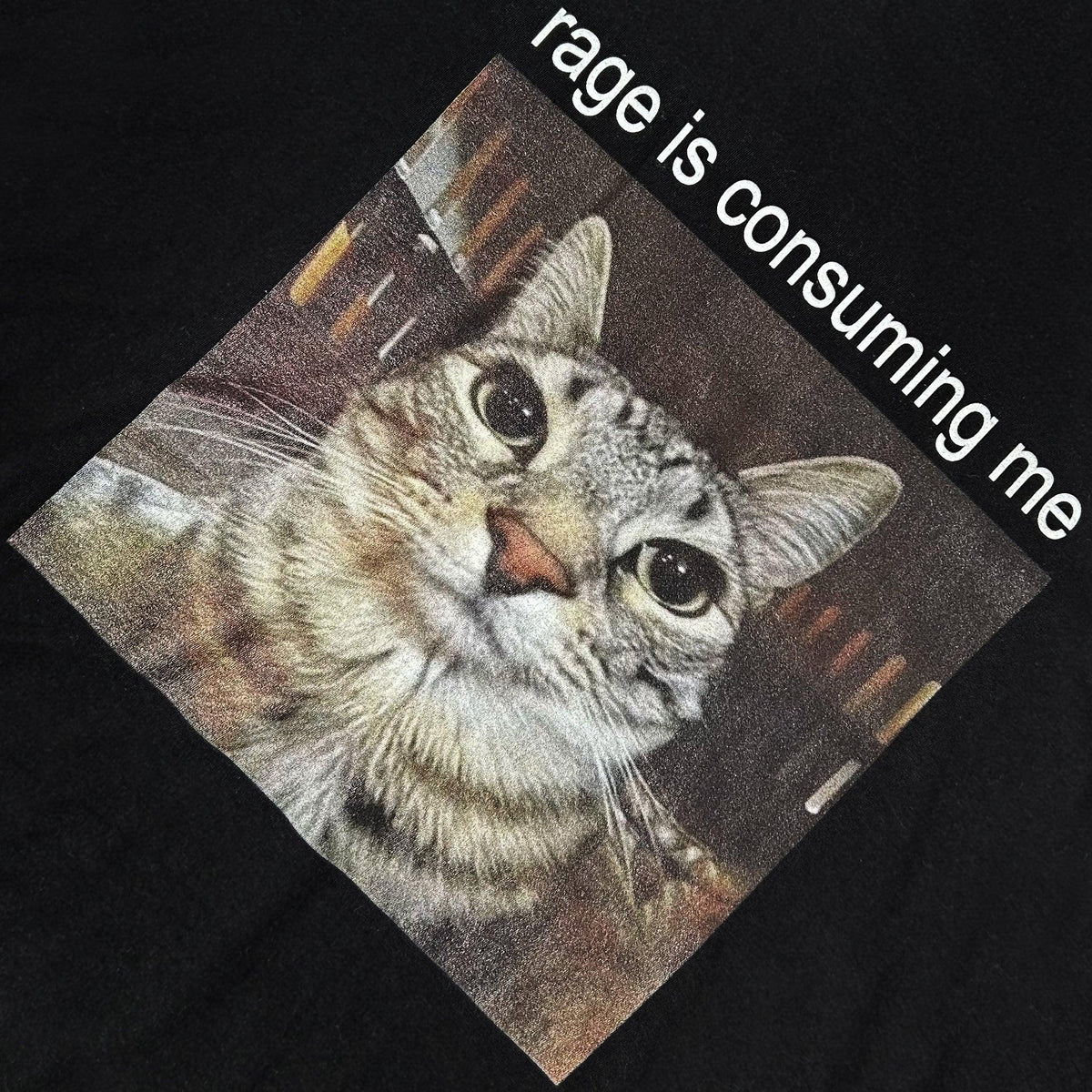Cat Rage Tee