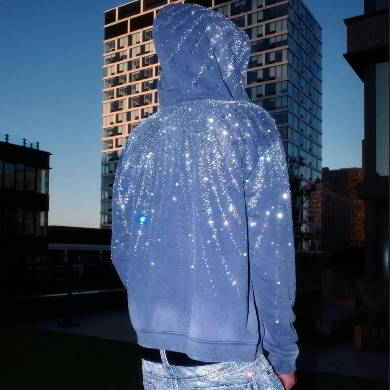 Steller Diamond Hoodie - BIRTH OF ROYAL CHILD - VENTURER