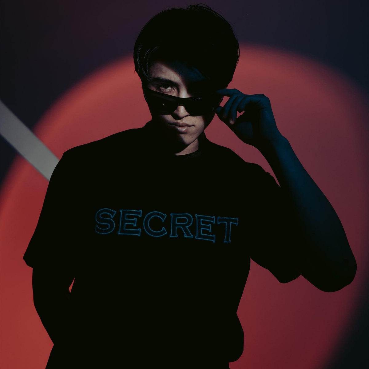 Velvet T-Shirt
