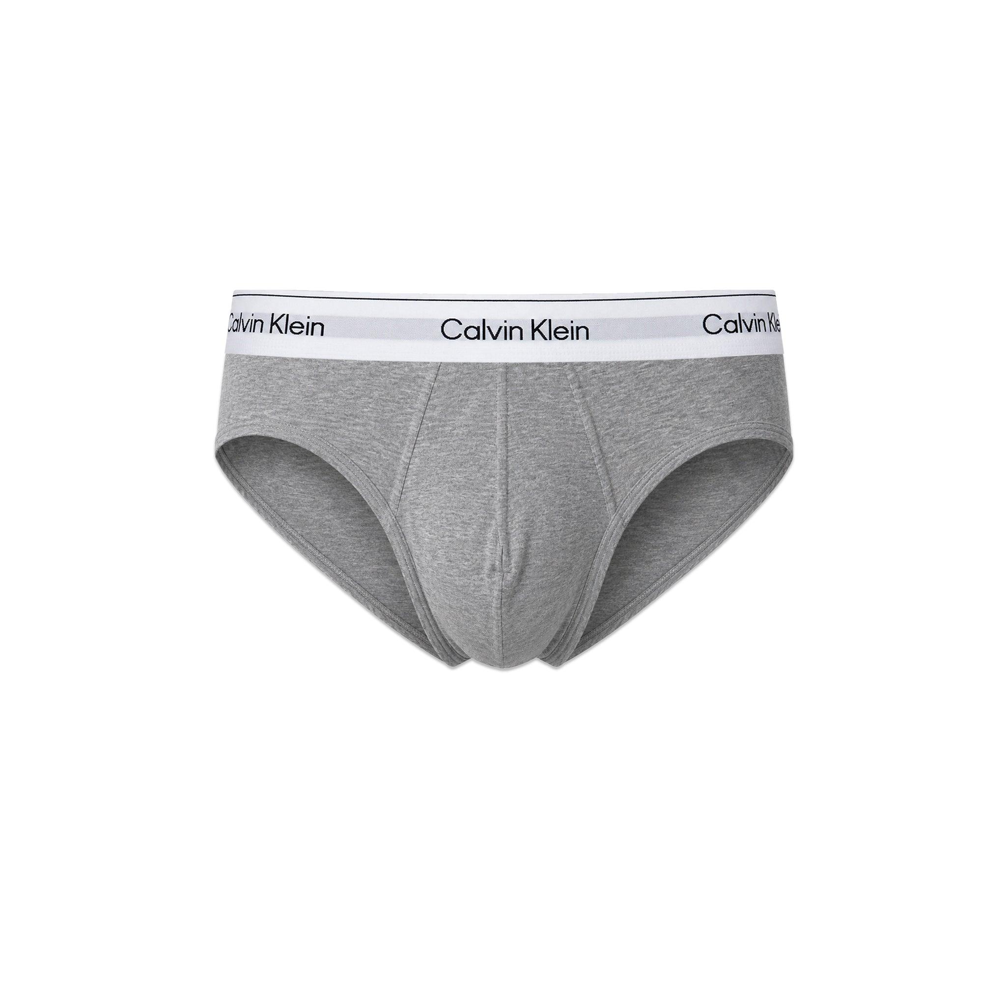 Icon Cotton Stretch Hip Brief 3PK