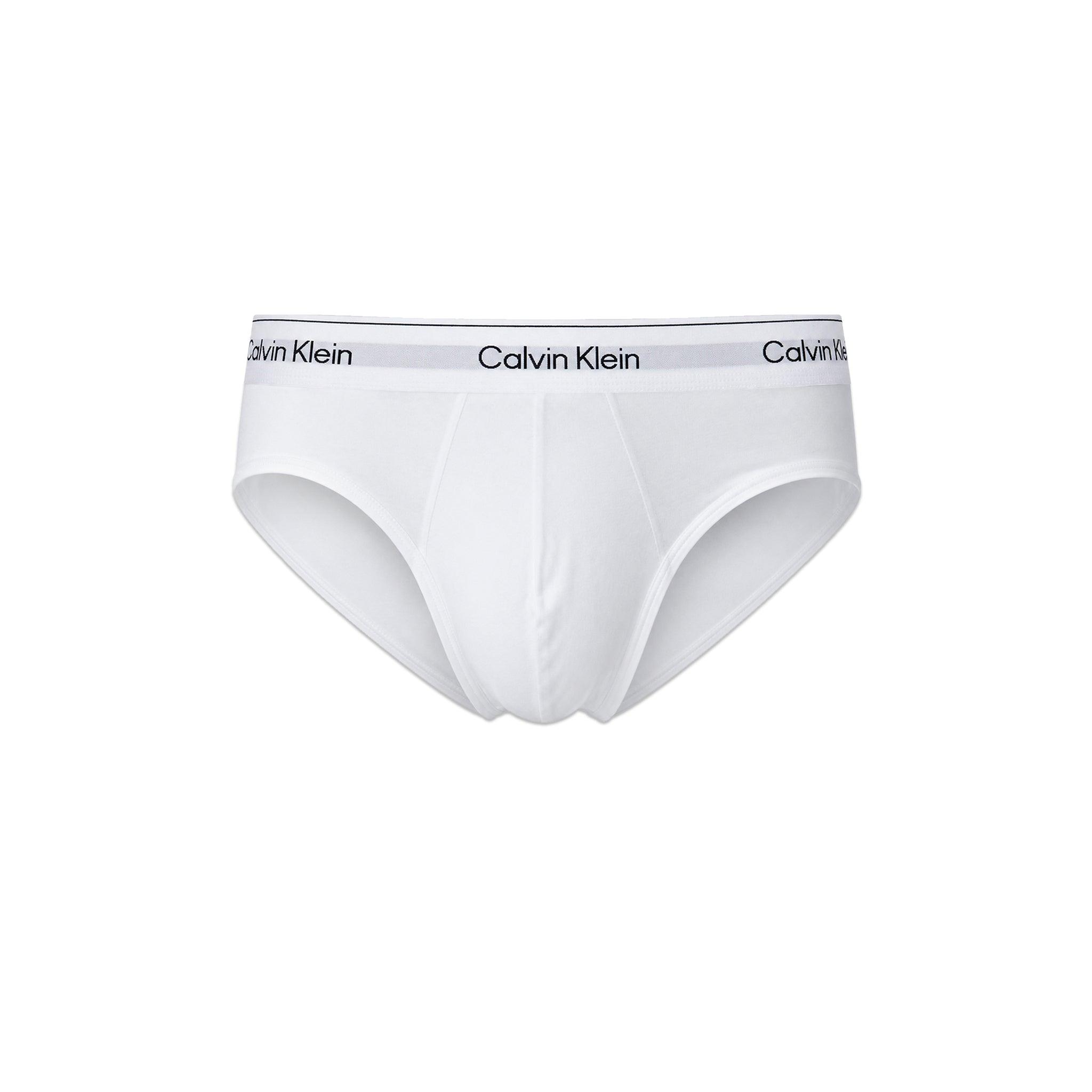 Icon Cotton Stretch Hip Brief 3PK
