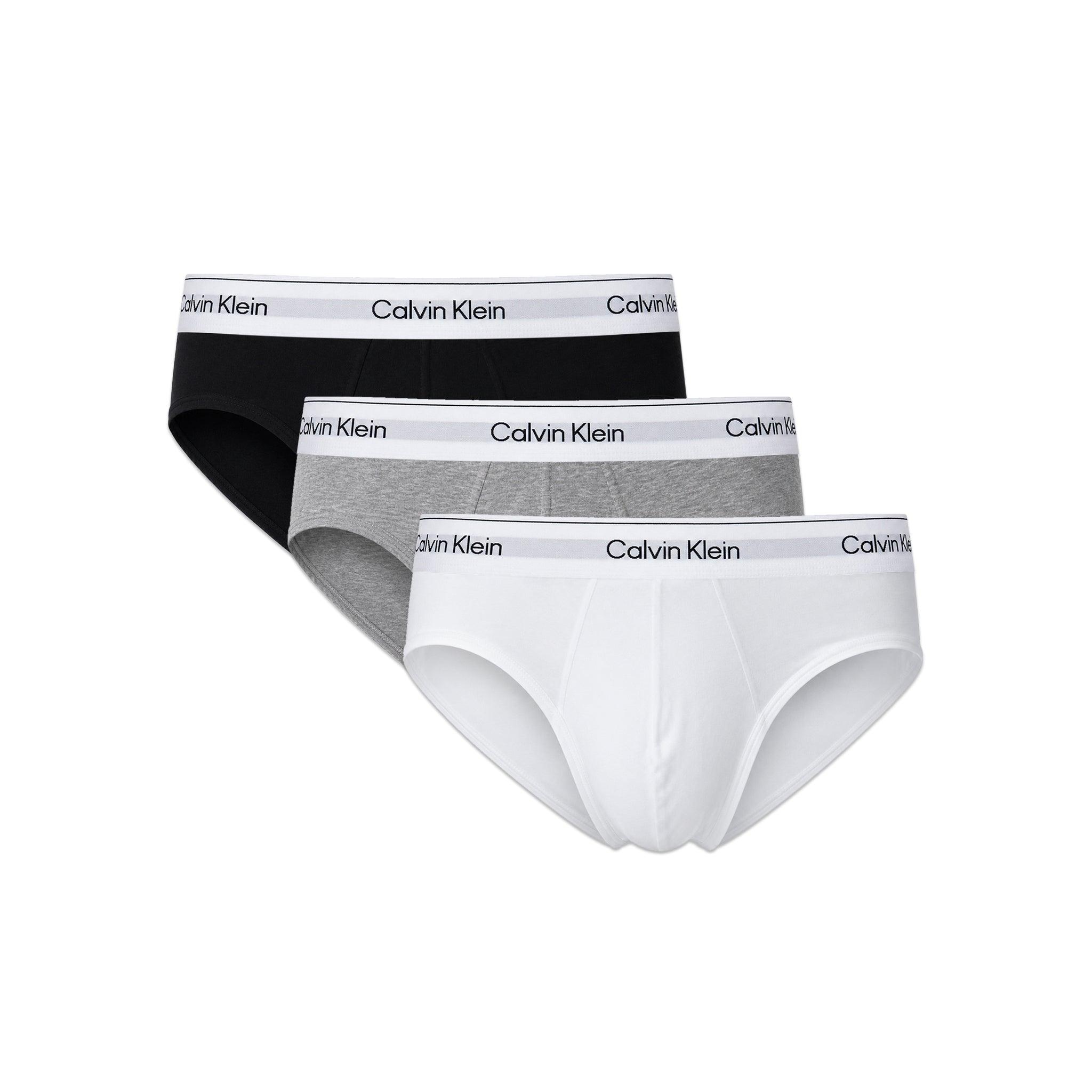 Icon Cotton Stretch Hip Brief 3PK