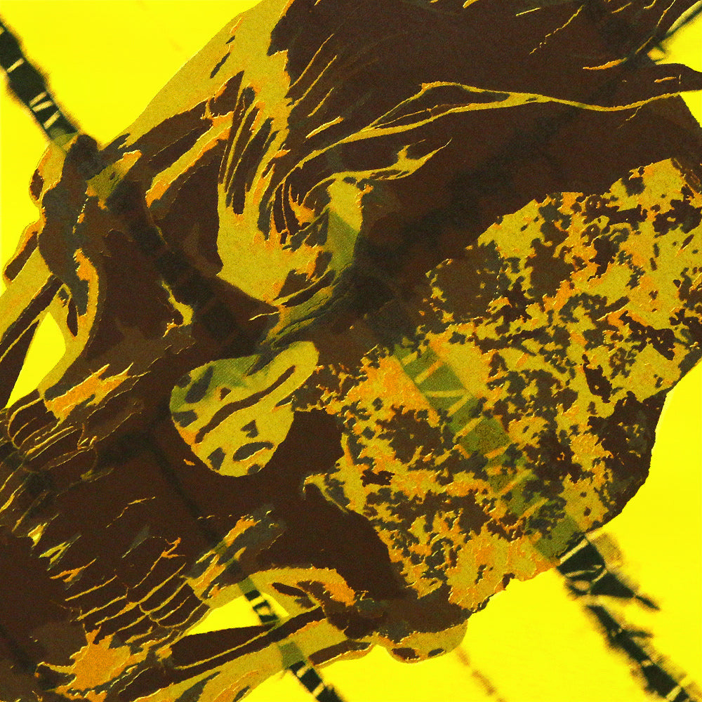 Flaming Skull Tie Dye T-Shirt