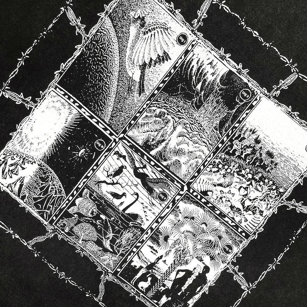 Creation Tee