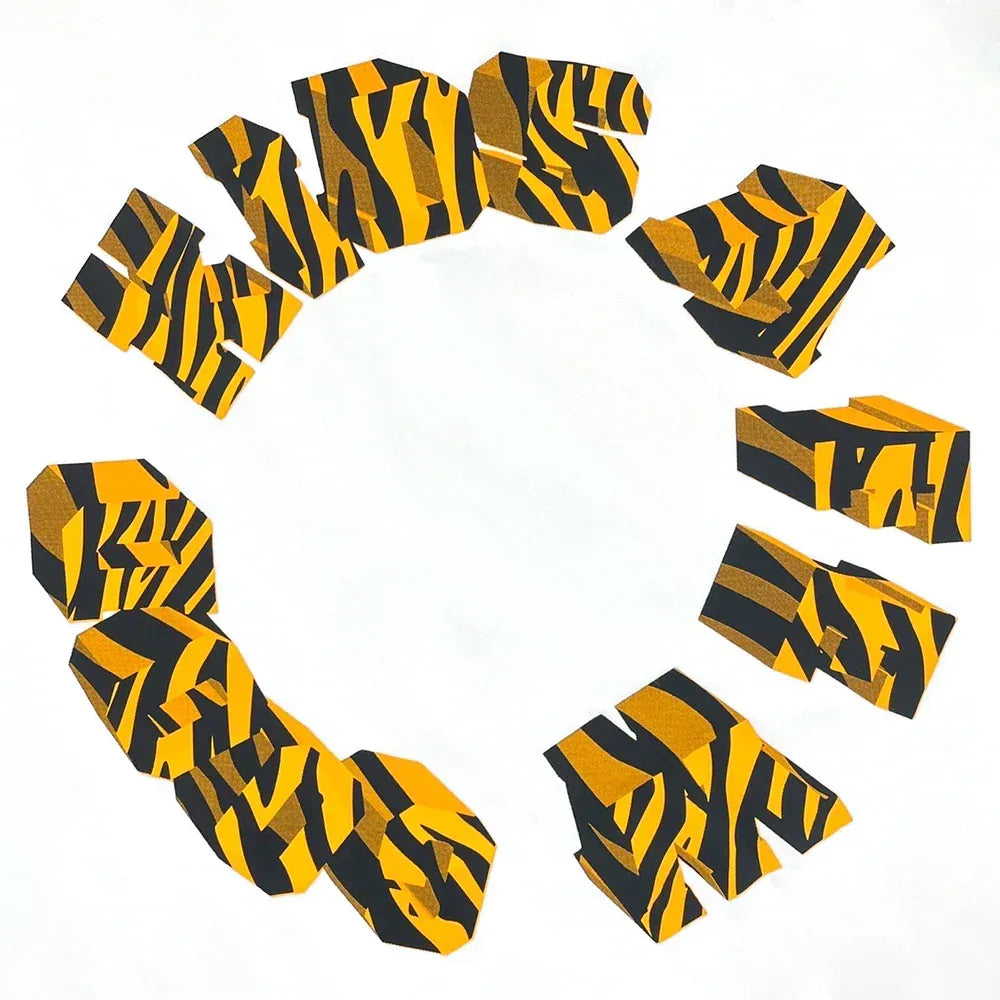 Tyger Year LS Tee - A FEW GOOD KIDS - VENTURER