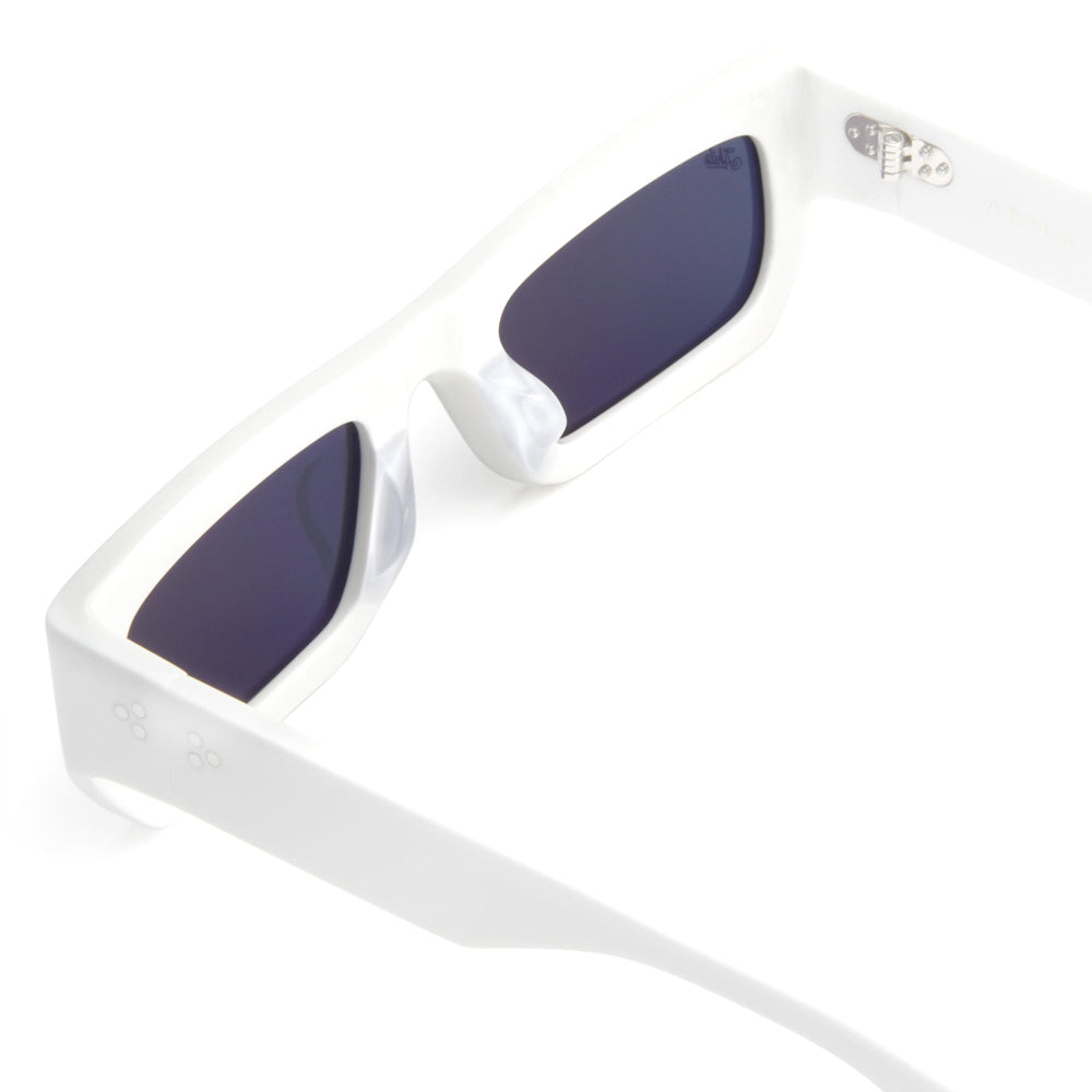 Polaris Sunglasses