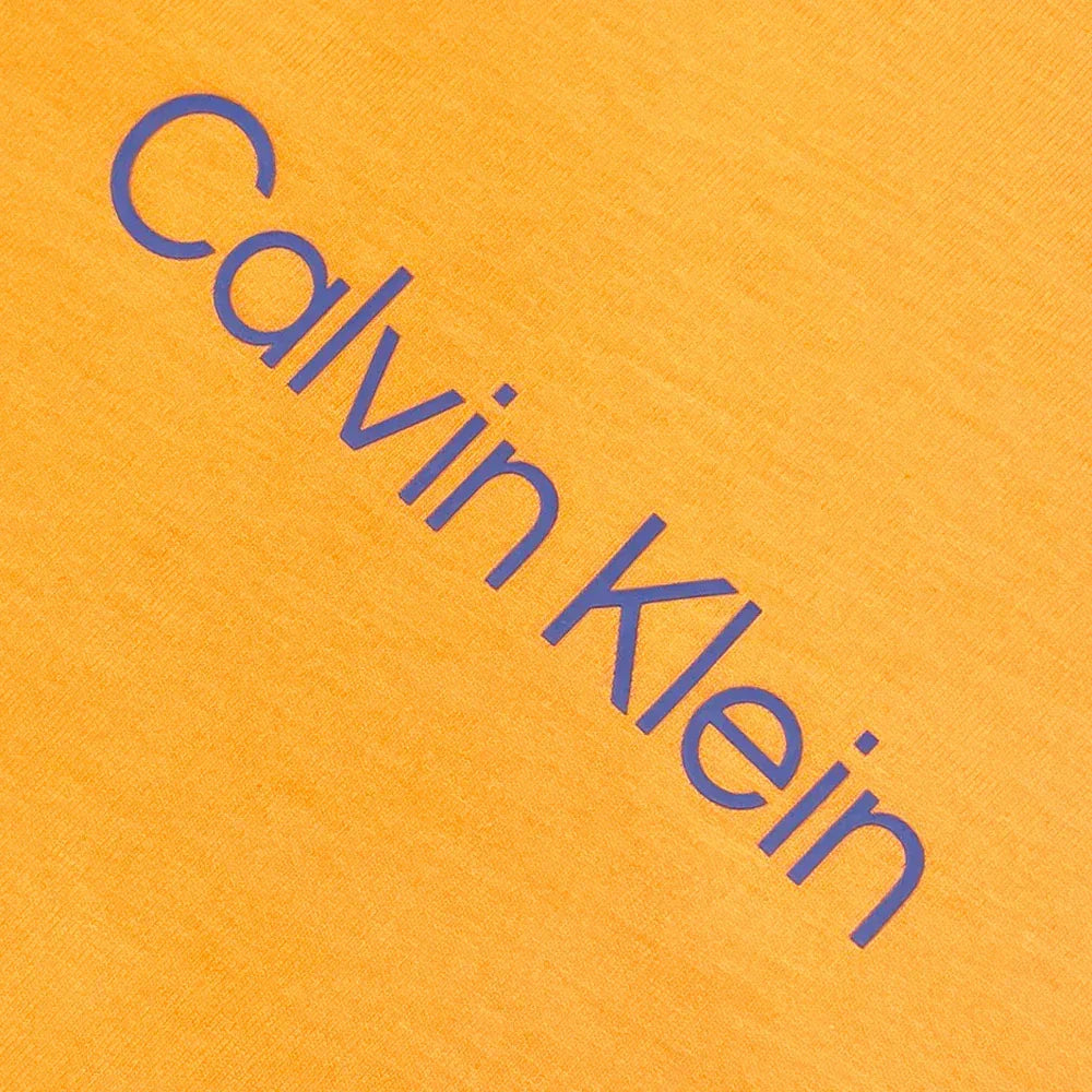 Standard Logo Tee - CALVIN KLEIN - VENTURER