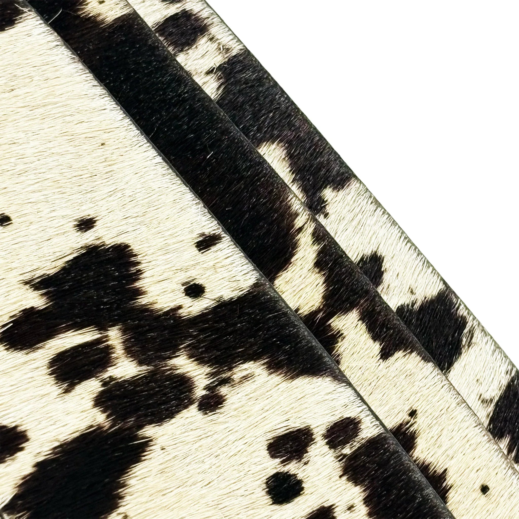 Cow Hide Card Holder - REPRESENT - VENTURER